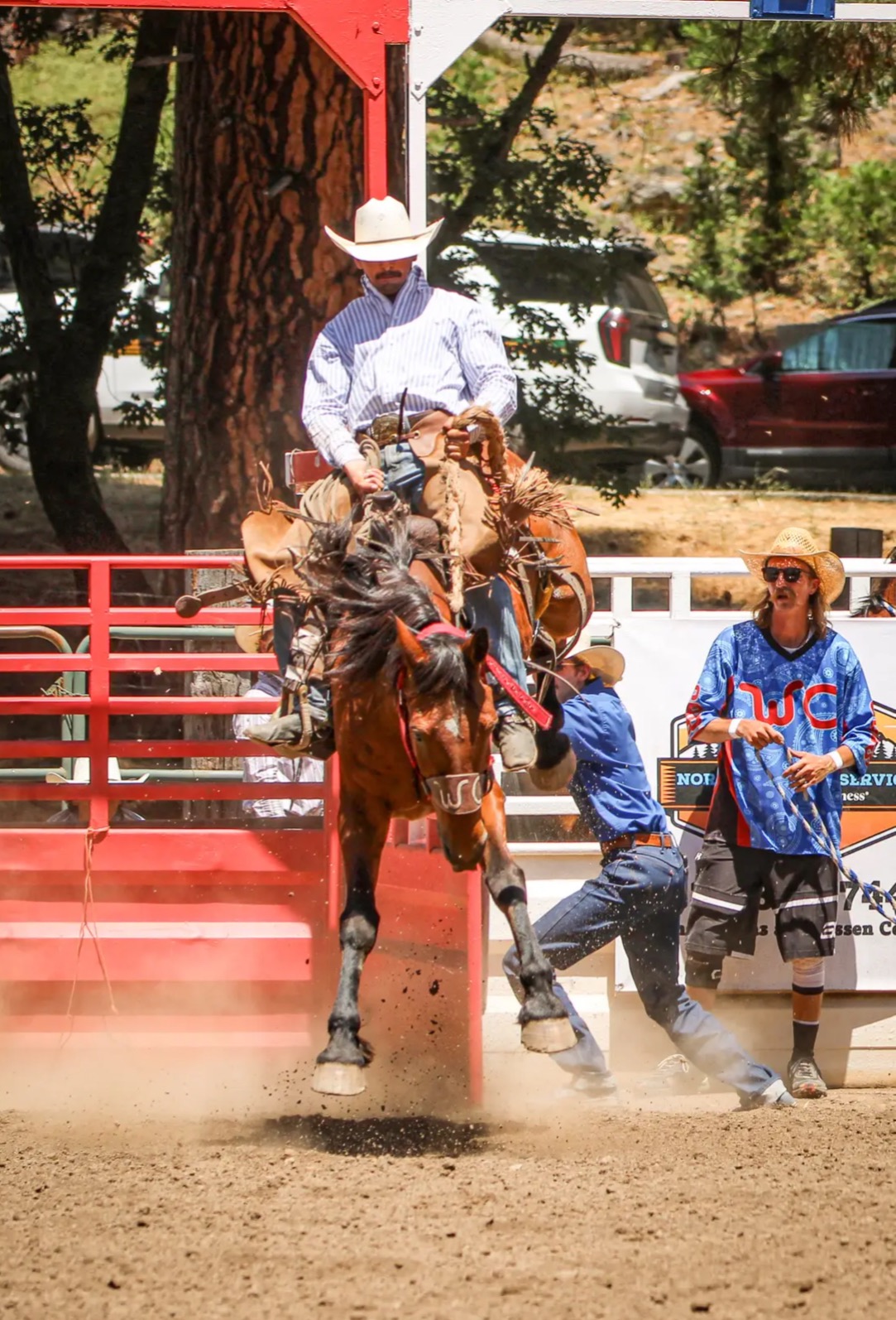 Cowboy riding a bucking horse out of the chute